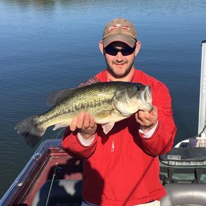 Meet your Posher, Jacob